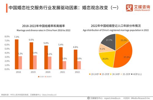 2024-2025年中国婚恋社交服务市场研究报告